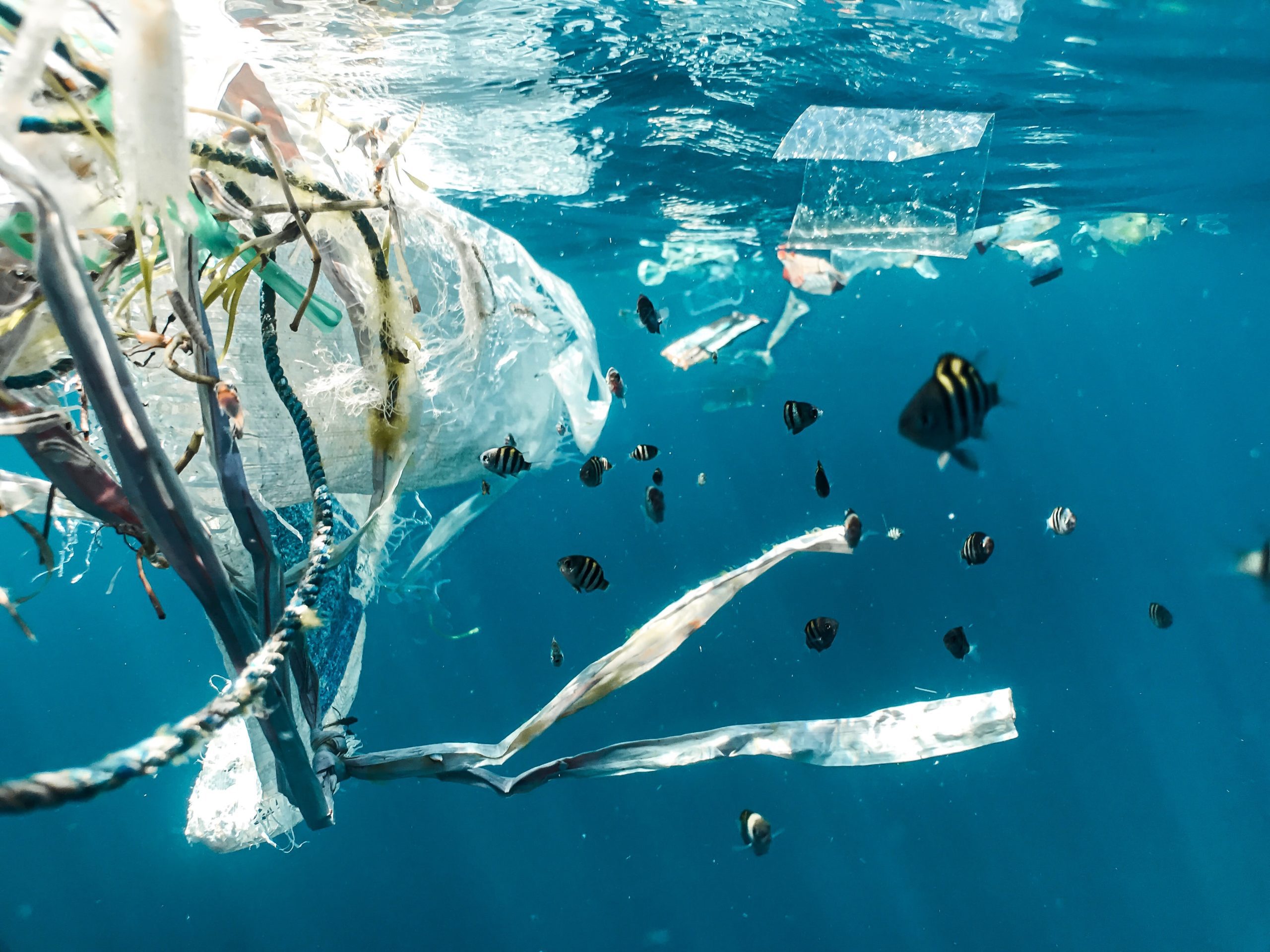 Transformer les déchets en énergie, la solution quand ils ne peuvent être recyclés