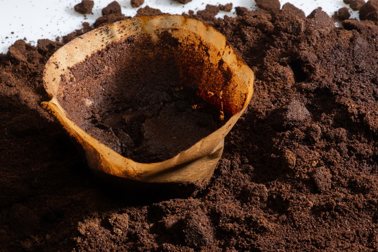 Recycler du marc de café usagé pour renforcer le béton